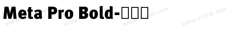 Meta Pro Bold字体转换